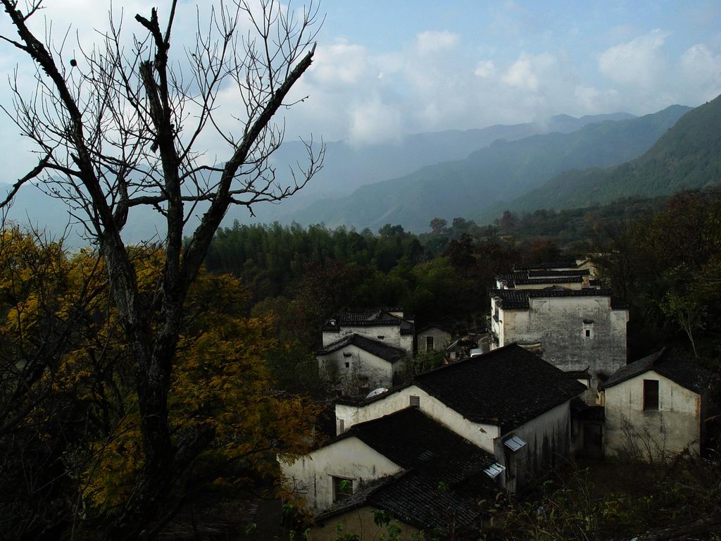 塔川秋韵 摄影 青龙居士