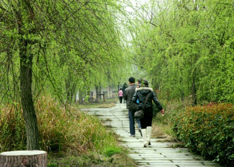 踏春 摄影 盛夏明月