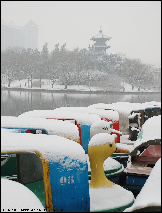 兴庆宫 雪 摄影 阳光灿烂中