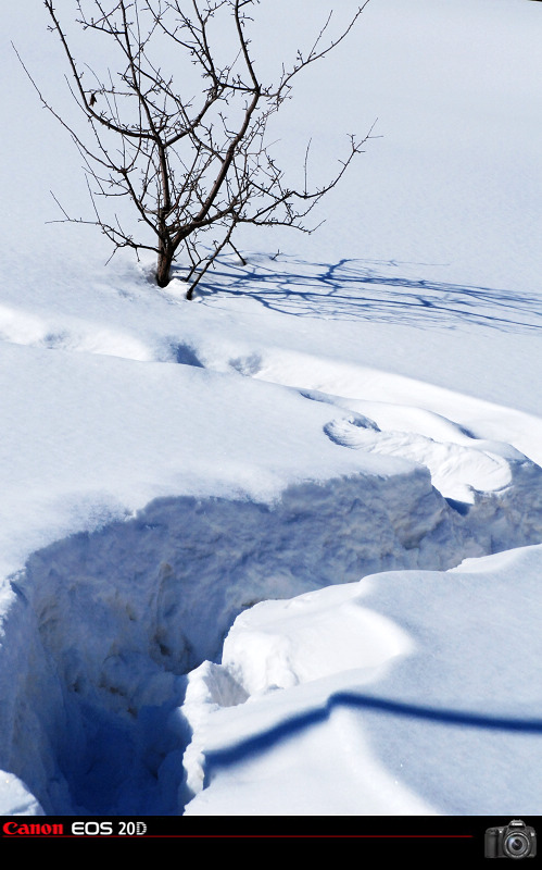 八里坡的雪 摄影 雪中飞