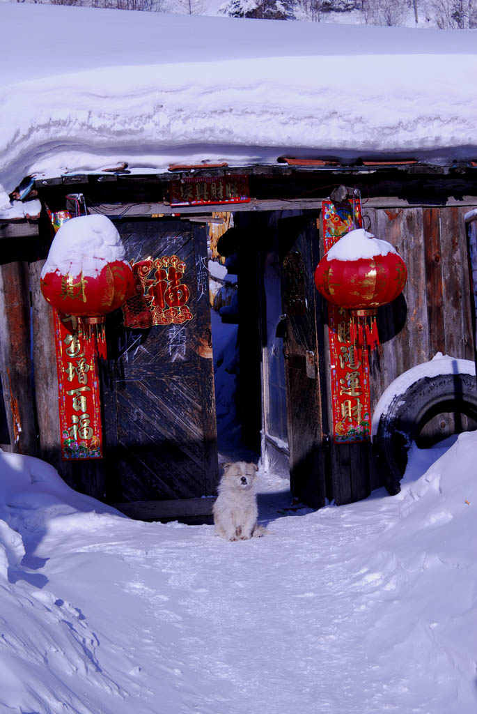 雪乡（5） 摄影 沧海艺摄