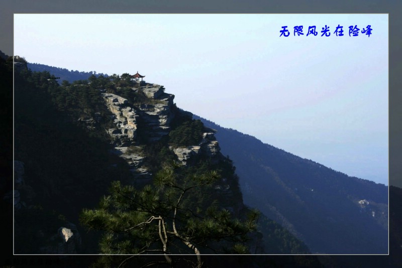 无限风光在险峰 摄影 浔建