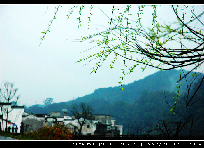 雨　婺源 摄影 谷雨