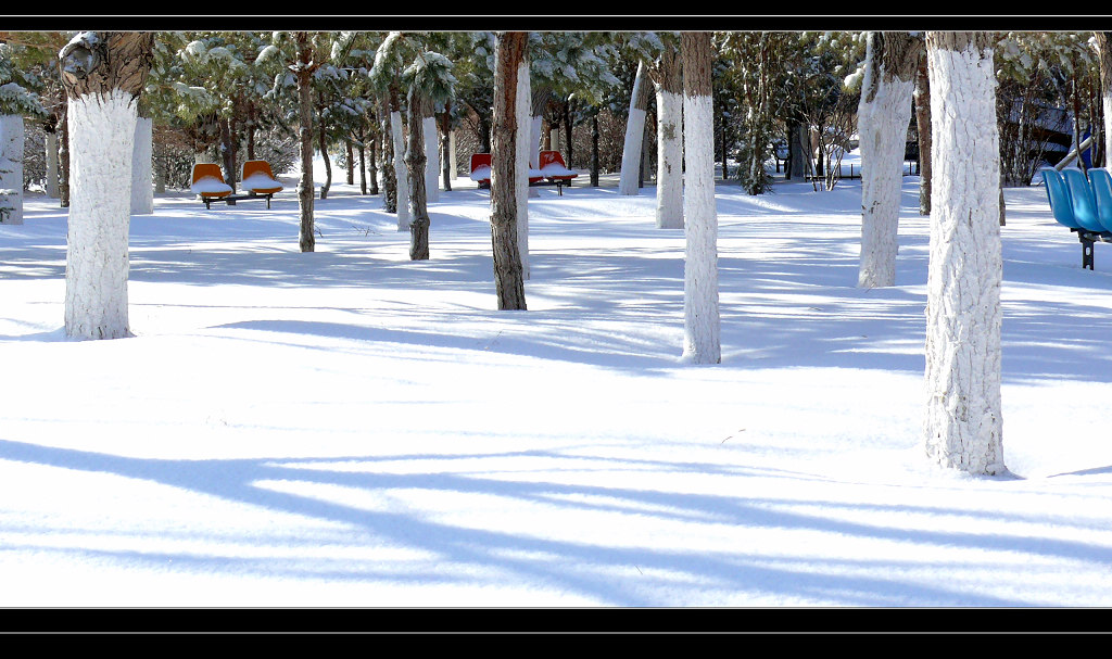 春雪2 摄影 戈壁雄鹰