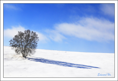 Inner Mongolia 摄影 edwardkho