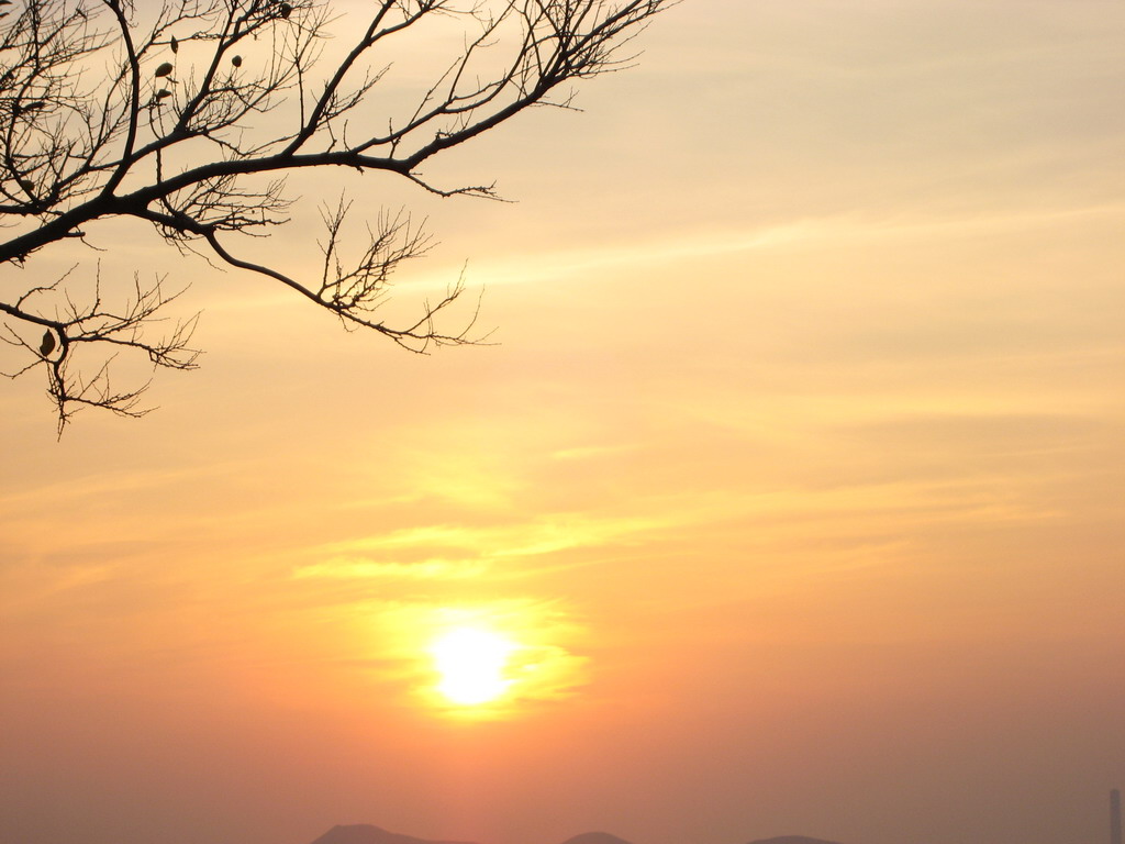 夕阳（1） 摄影 小小花