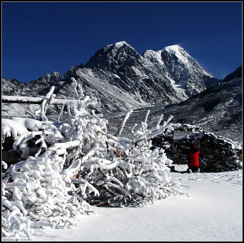 膜拜雪山 摄影 youzong