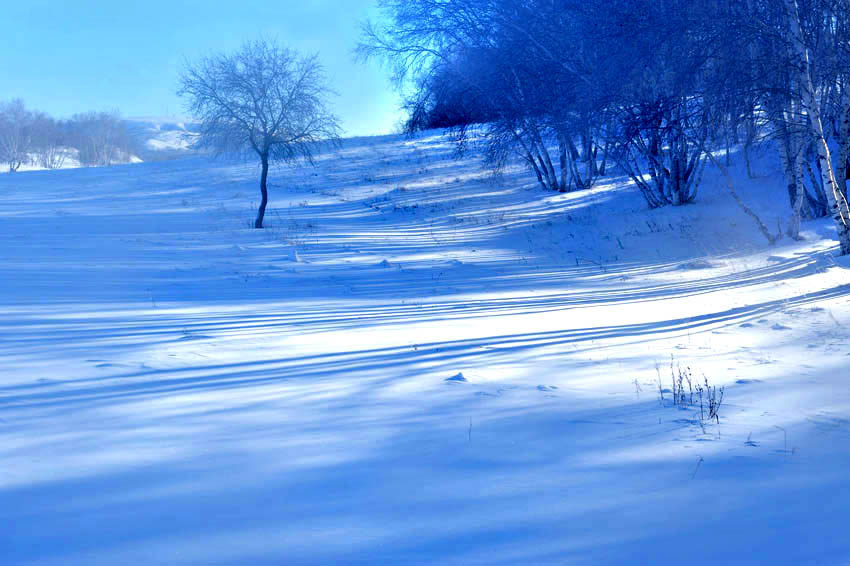 雅美雪影 摄影 拂锺无声