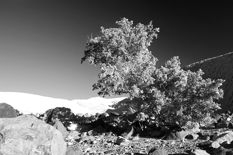 Death Valley 摄影 湖心小筑