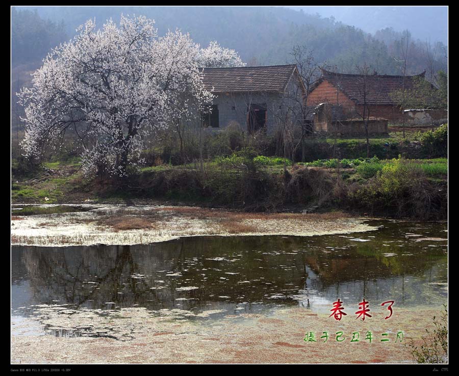 春来了 摄影 雨好