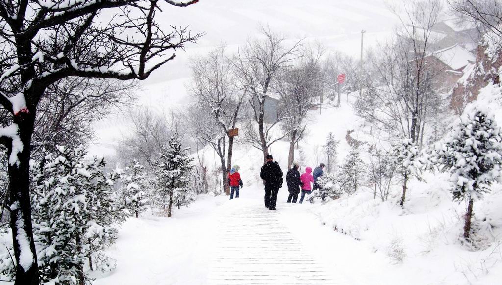 风雪路归人 摄影 柳园