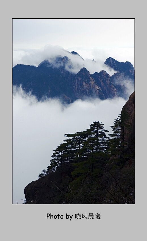 《水墨黄山》（3） 摄影 晓风晨曦