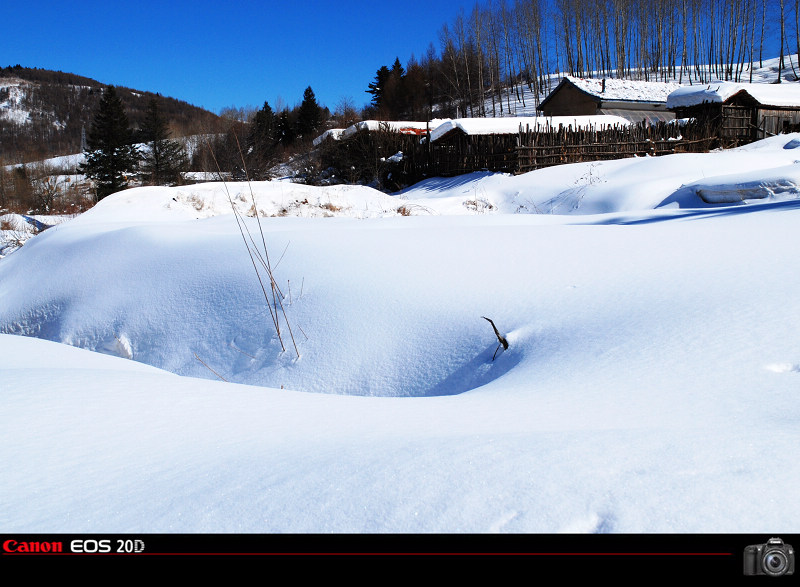 八里坡的雪 摄影 雪中飞