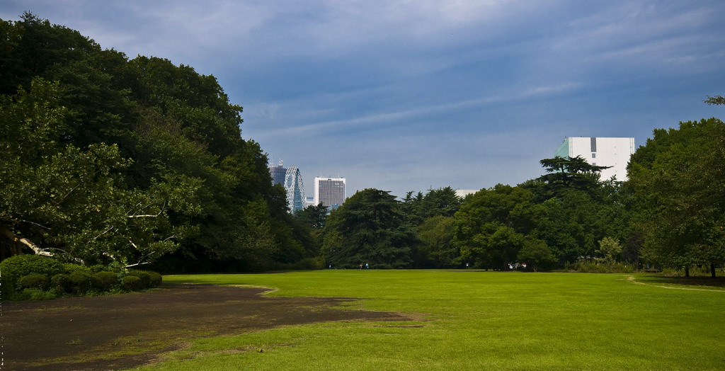 闹市中的净土－－新宿御苑 摄影 桑塔纳