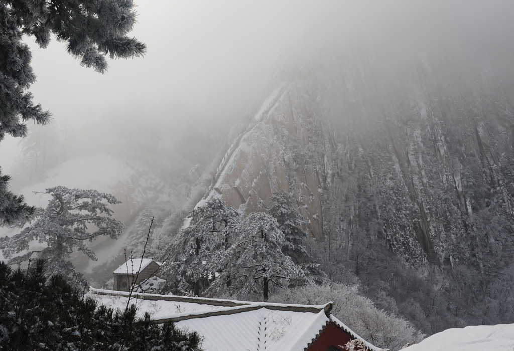 华山雪 摄影 月风清