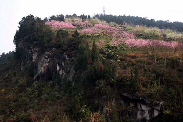 桃花坪 摄影 dbyhql