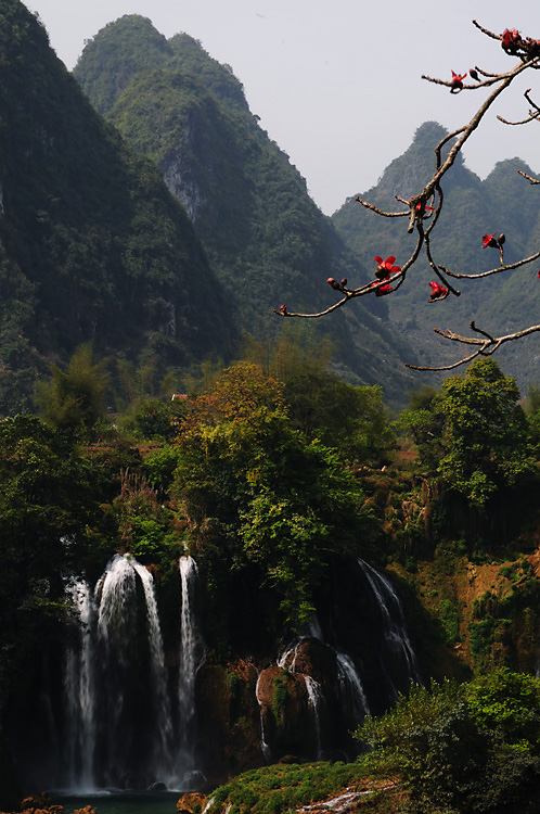 高山流水木棉红 摄影 漓水流云