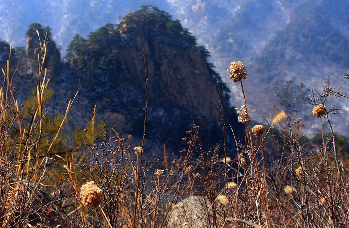 千山 摄影 小河鱼