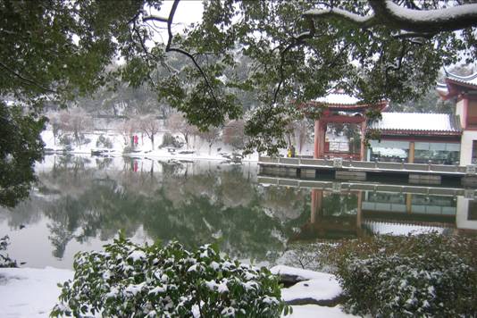 雪景 摄影 江南晓新