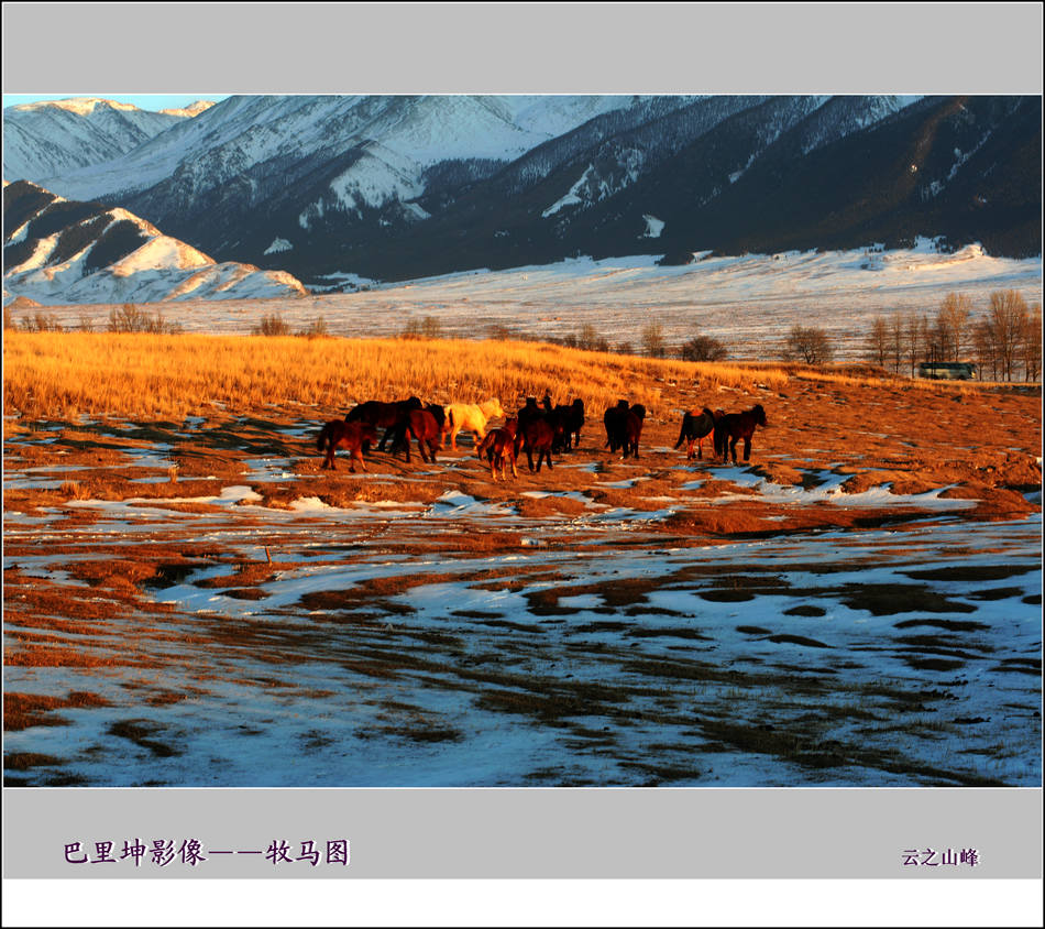 巴里坤影像——牧马图 摄影 云之山峰