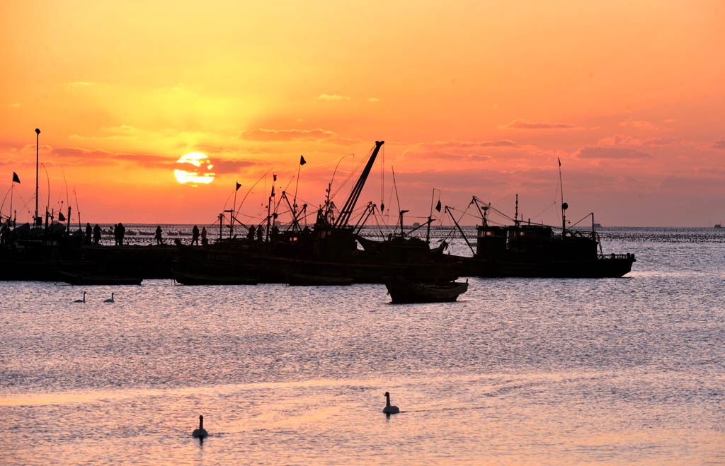 海港夕阳 摄影 隔海遥望