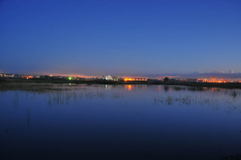 黑河湿地 摄影 weixianghua