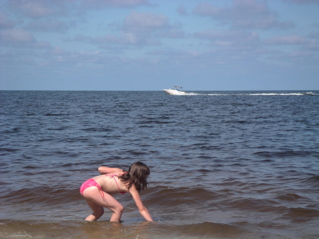 Beach in Naples, FL 摄影 apeng