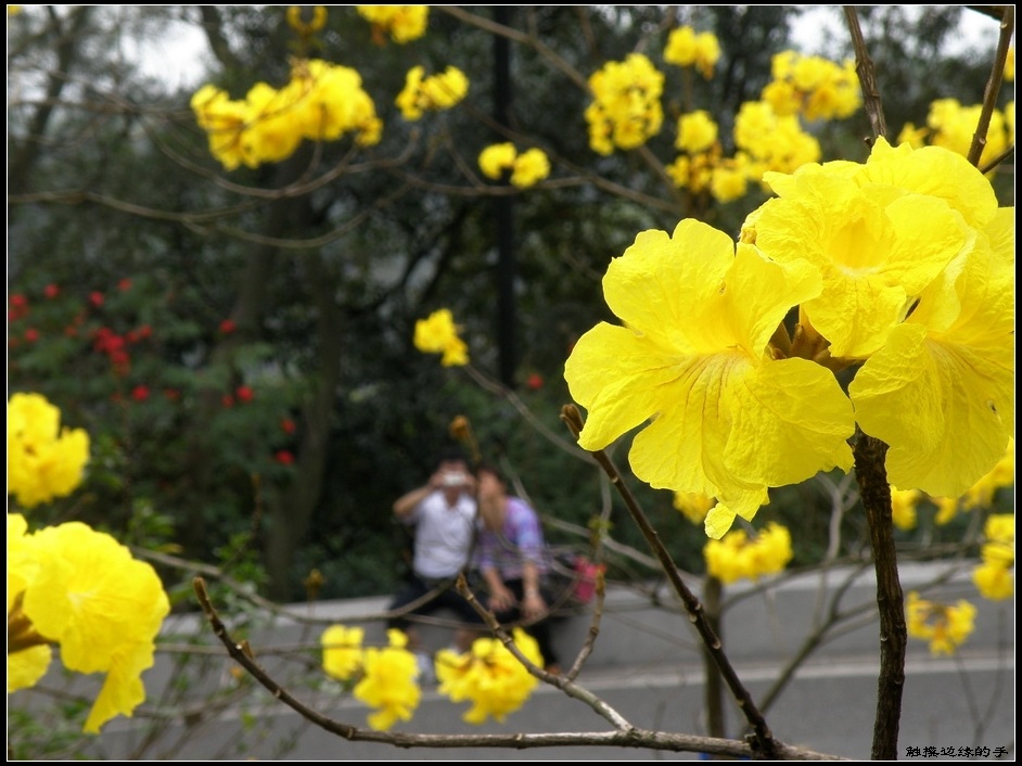 暖春 摄影 xiaoyao