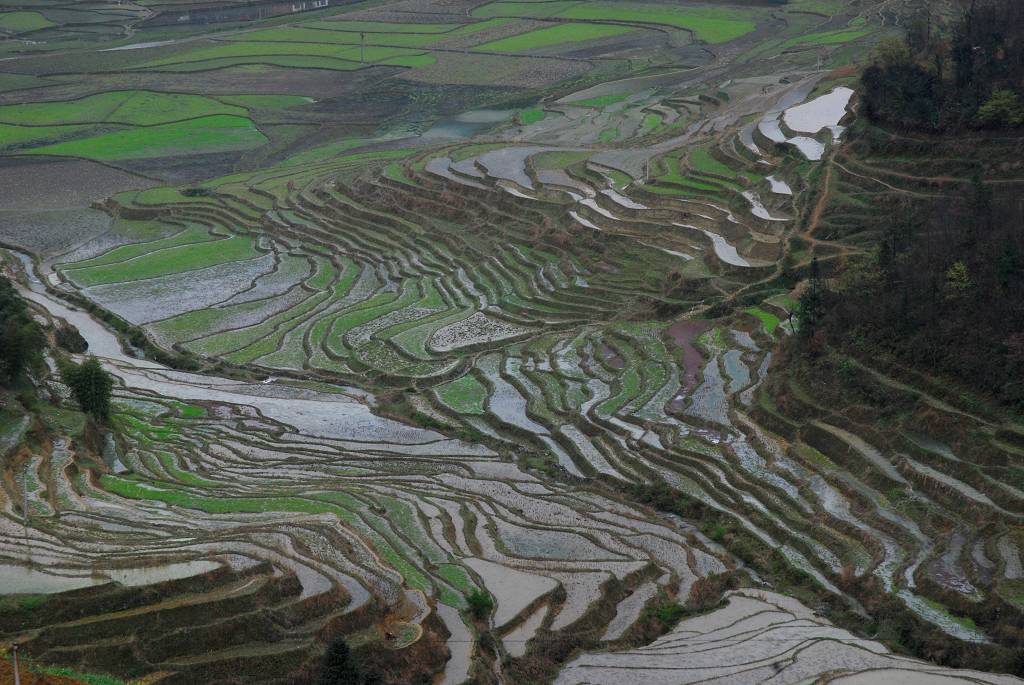 田园 摄影 歪摄