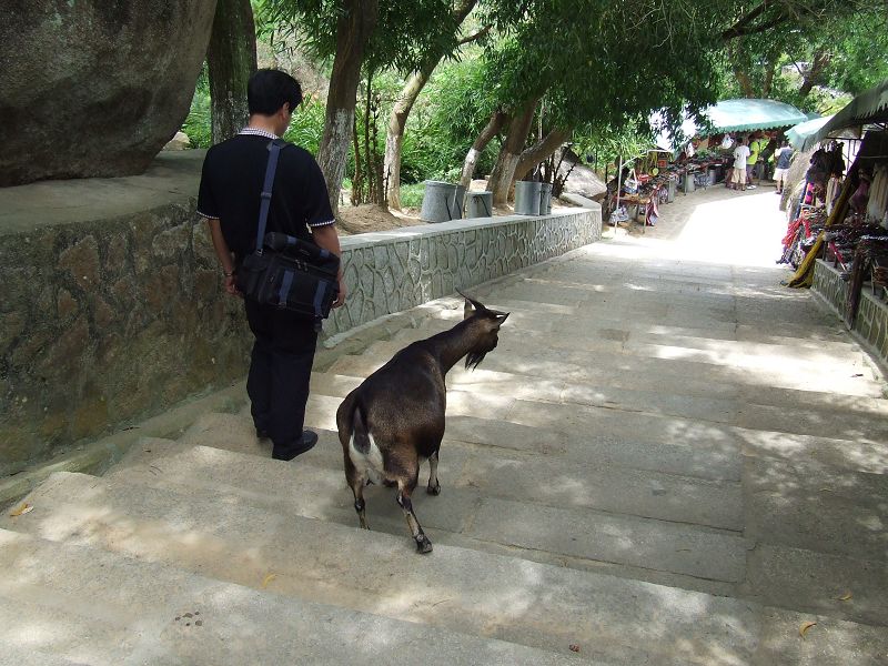 hainan 老兄咱们是一路的么？ 摄影 tianhua0519