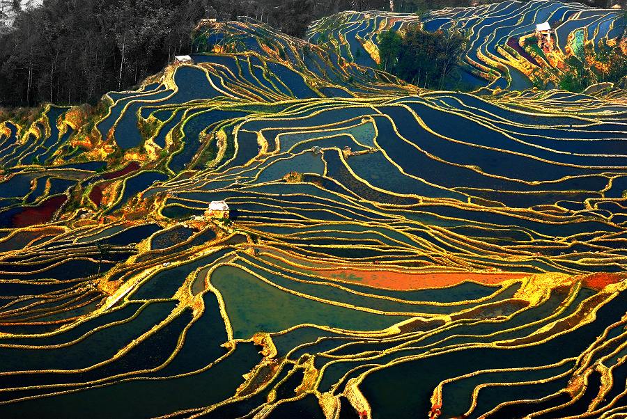 大地的旋律 摄影 山枣