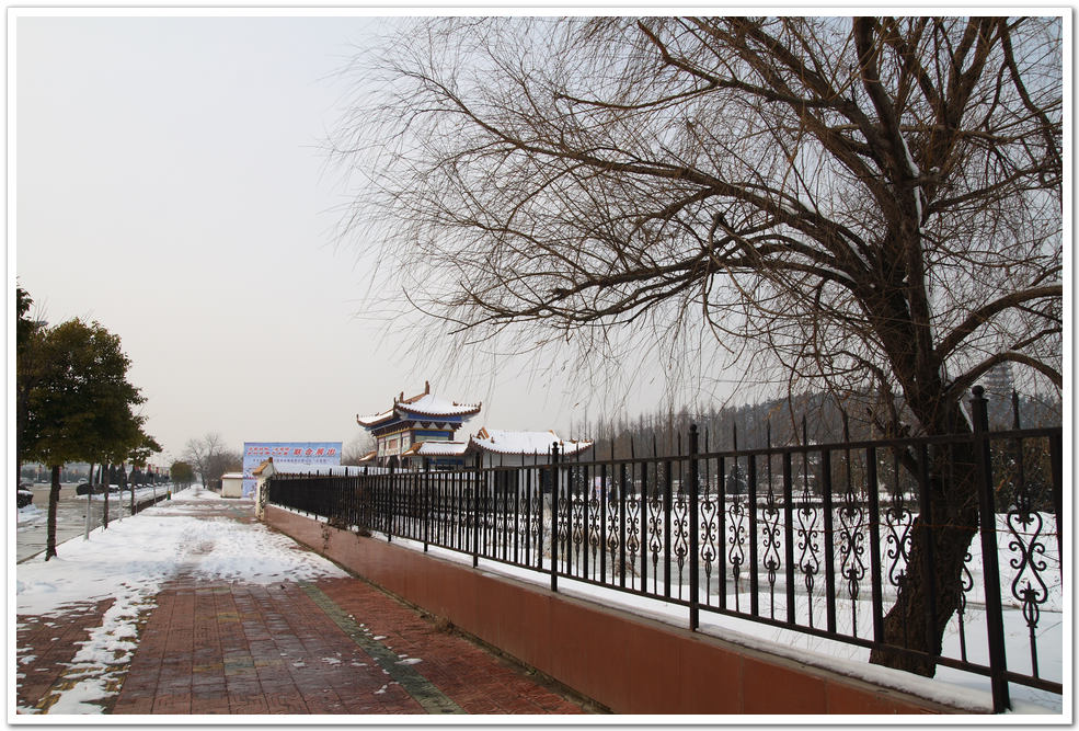 又去张公山公园拍雪景（1） 摄影 马晋江