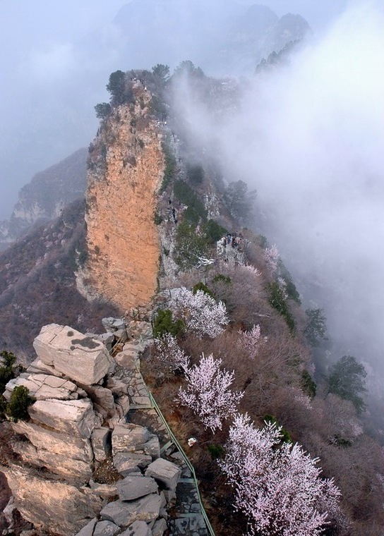 雾索神农山 摄影 龙行雨