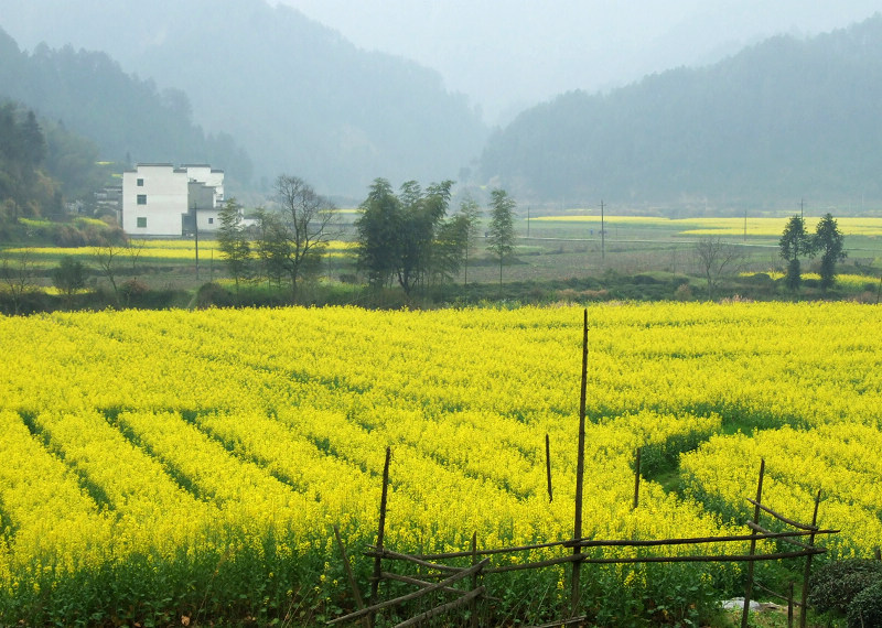 山村早春1 摄影 爱在异乡