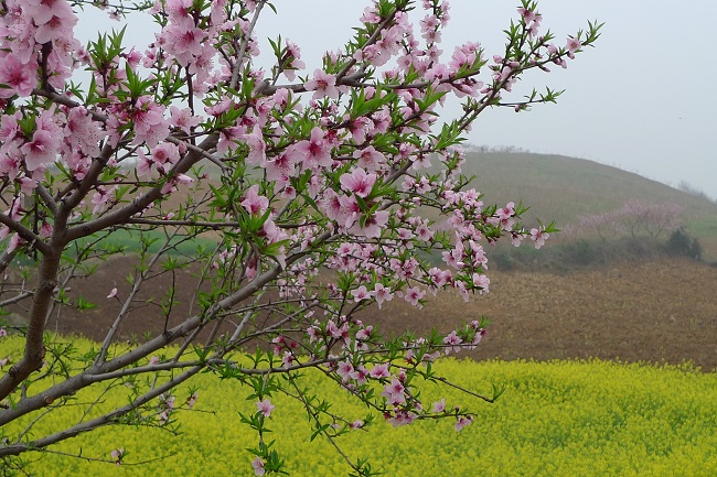 三色地 摄影 xibeilin