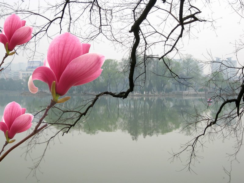 木兰湖边 摄影 丰雨