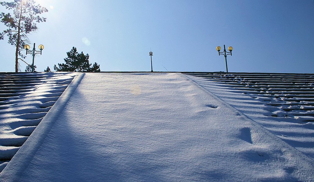 春雪 摄影 冰城金达莱