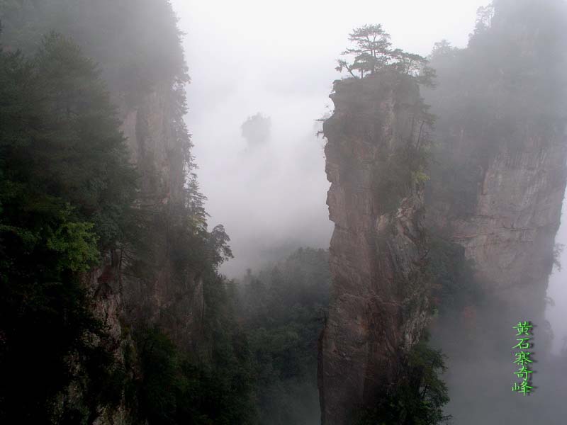 武陵源烟雨 摄影 苏小舟