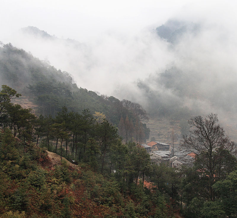 山乡晨雾 摄影 chau