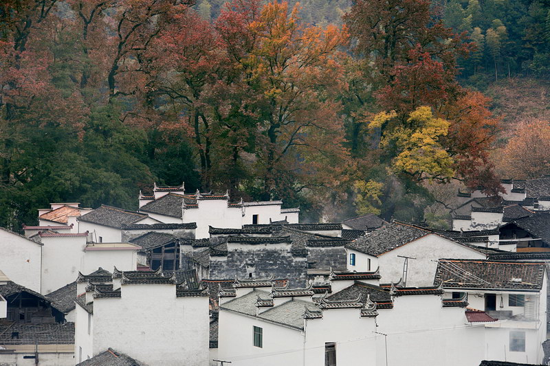 山村 摄影 麻烦