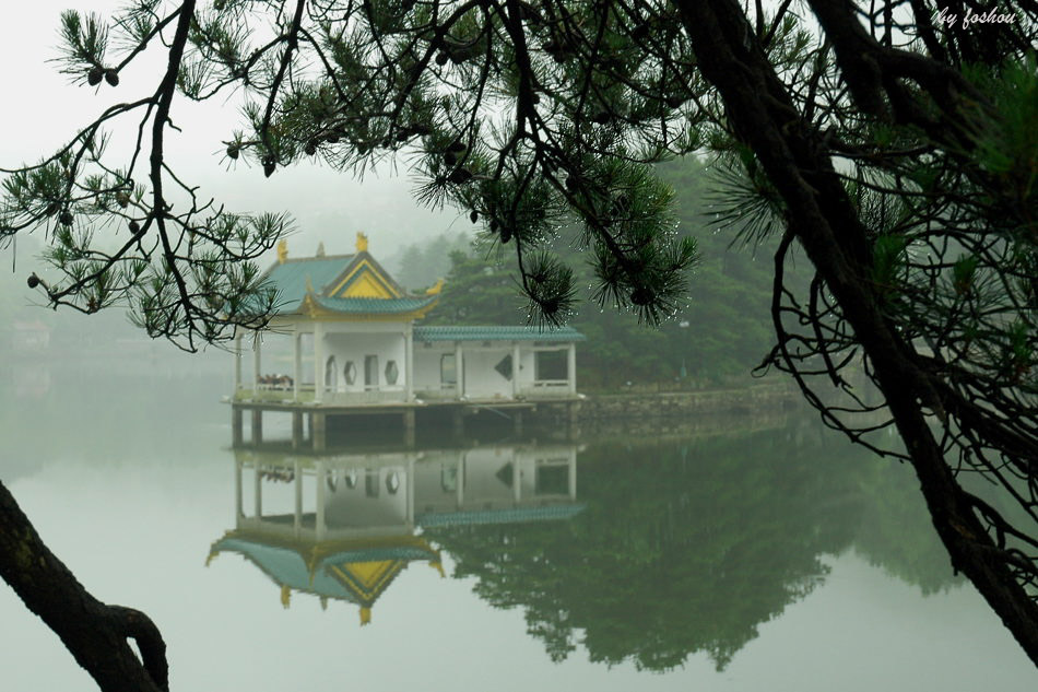 《春雨》 摄影 佛手