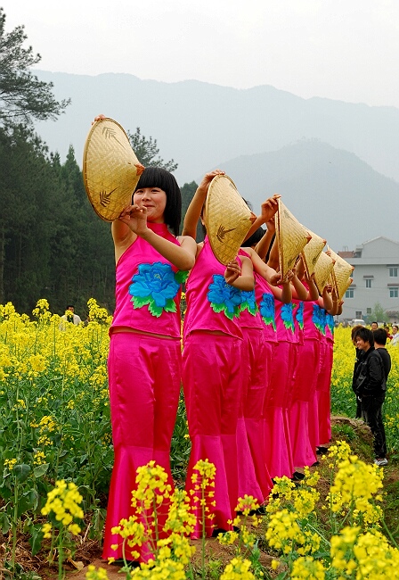 仙居油菜花节 摄影 四明岚风