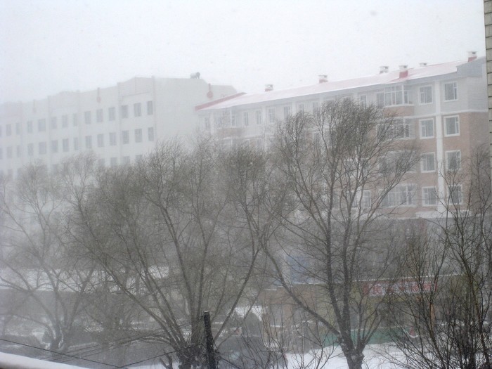 雪 摄影 飞扬的梦