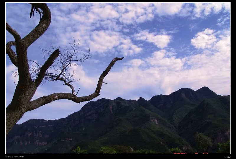 永存 摄影 无级变速