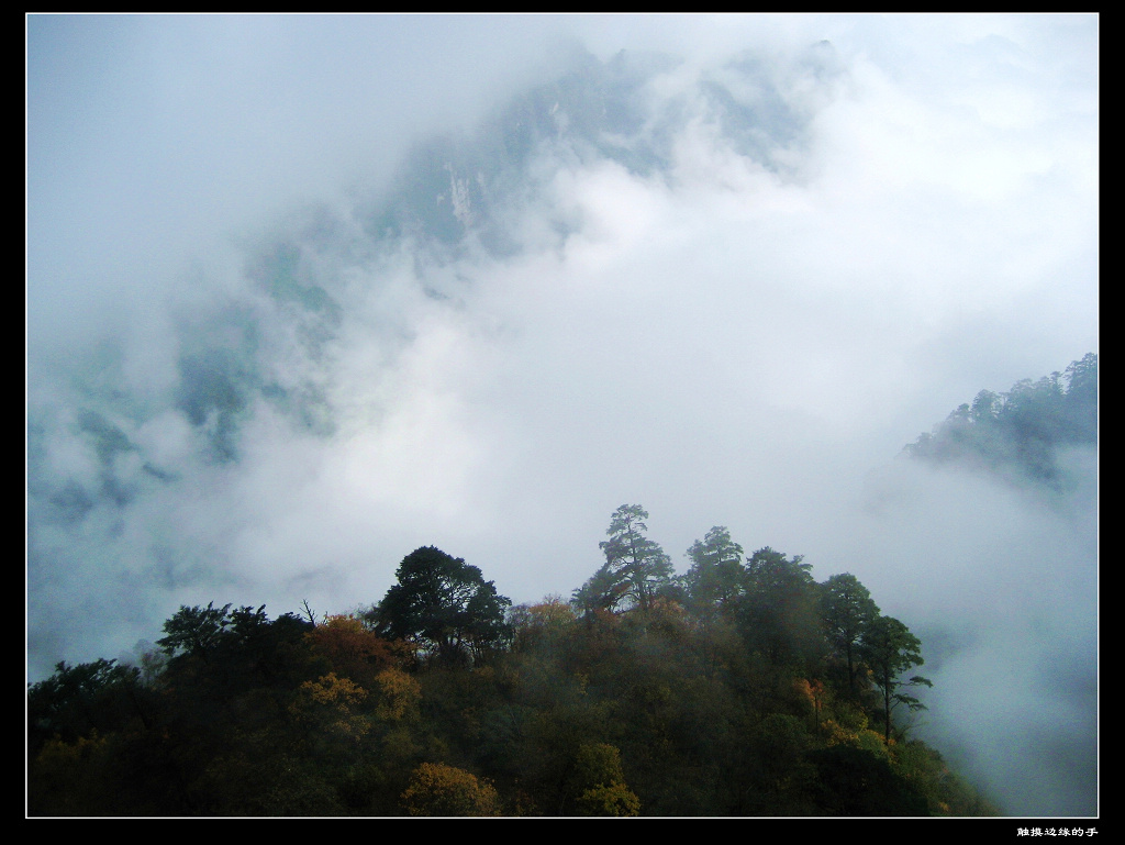 峨眉胜景 摄影 xiaoyao