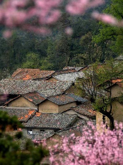 春到农家 摄影 烂柯山