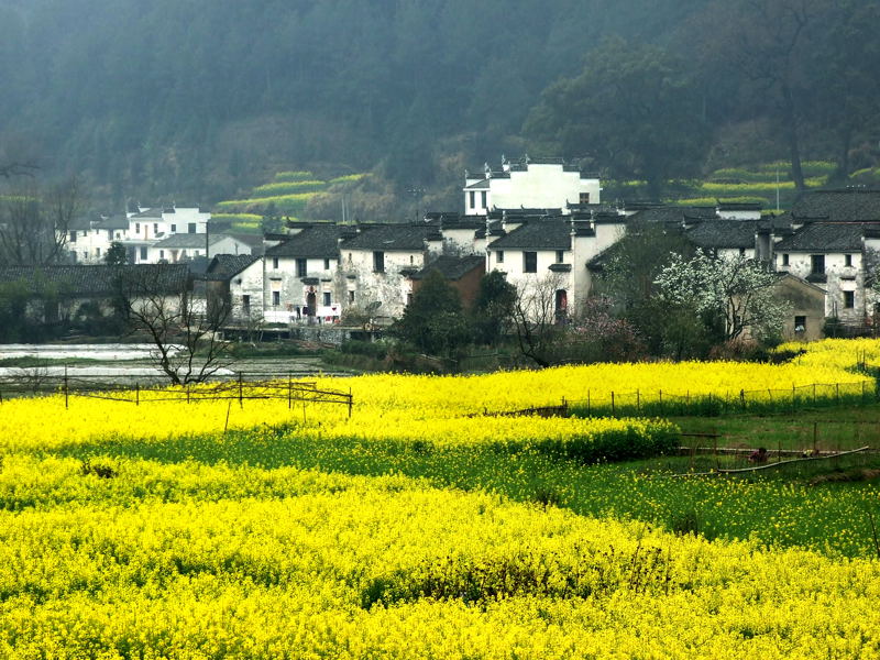 山村早春2 摄影 爱在异乡