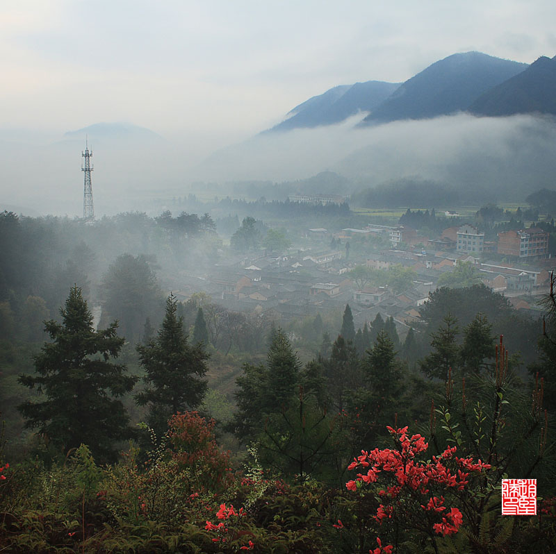 仙乡晨雾 摄影 chau