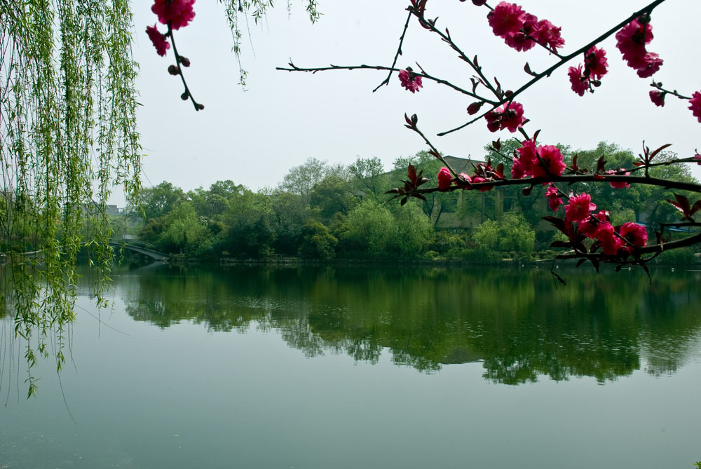 润物细无声 摄影 湘人子逸