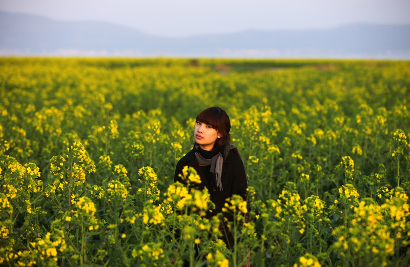 菜花 摄影 自然本色